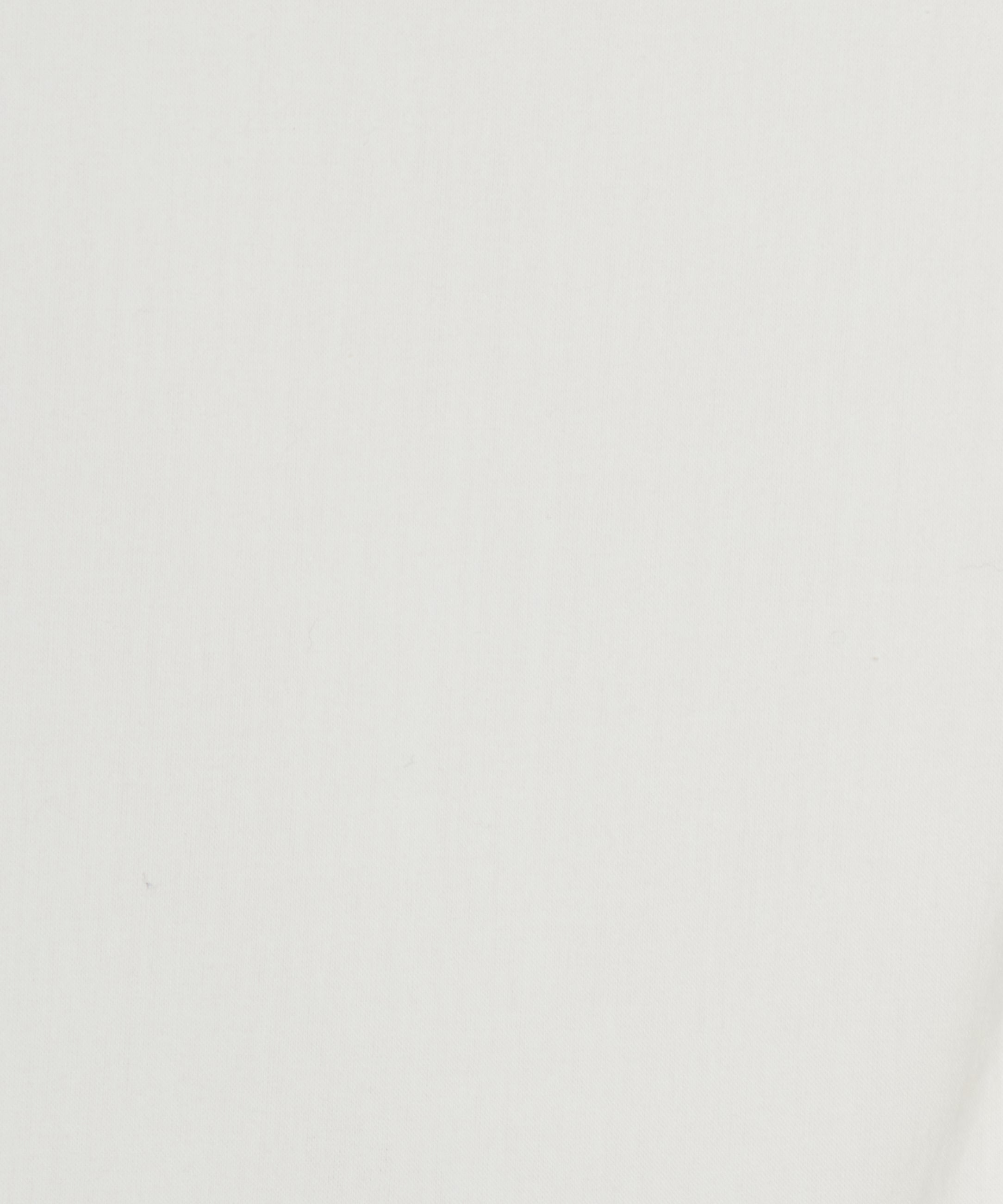 【予約】ラストダンスのブラウス White Chalcedony