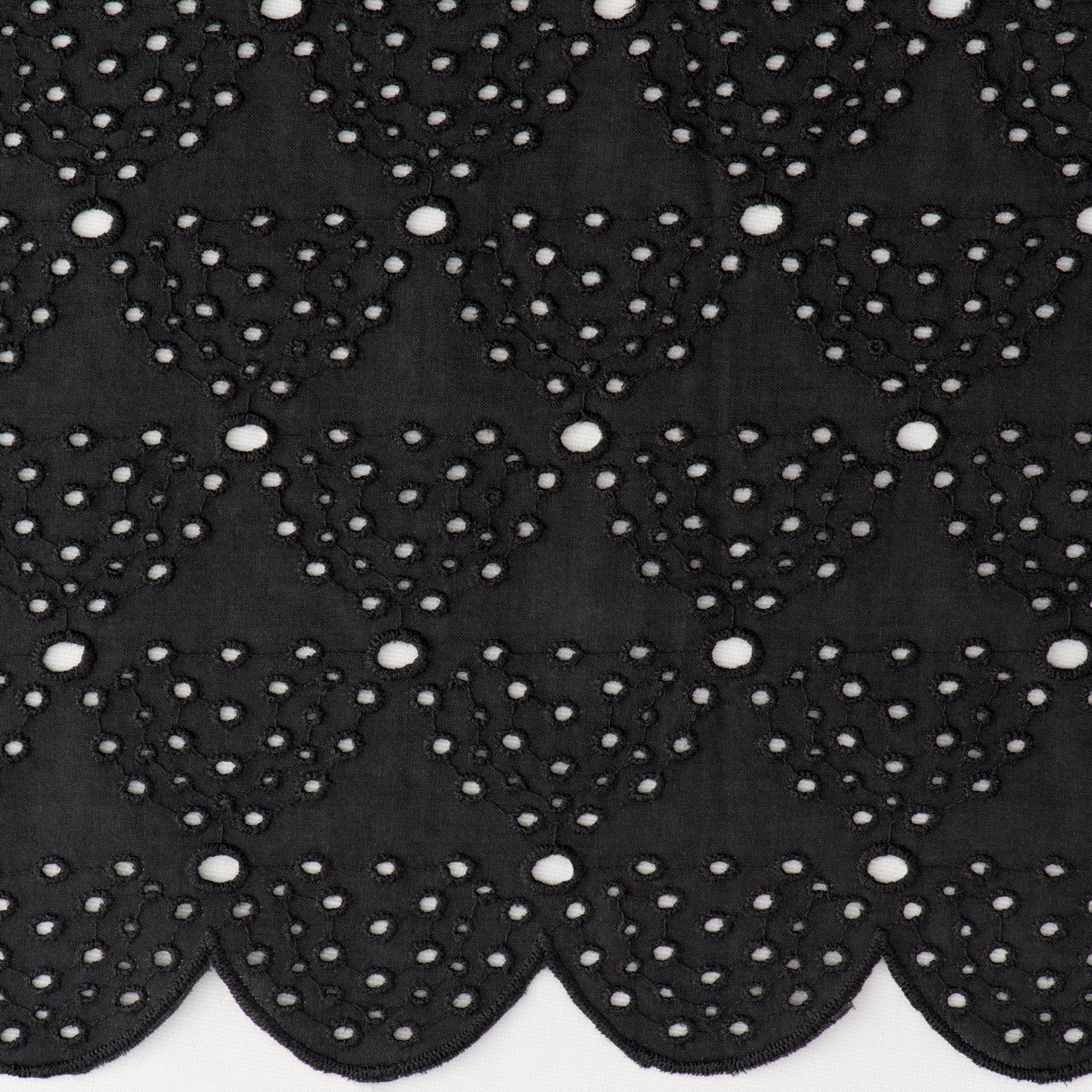 【予約】<br>エクリプスのスカート <br>Lace Arabesque/Black