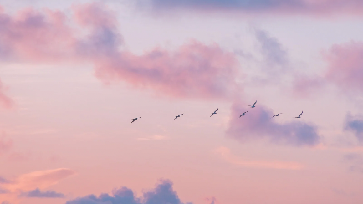 ゴールデンウィーク<br>休業期間のお知らせ