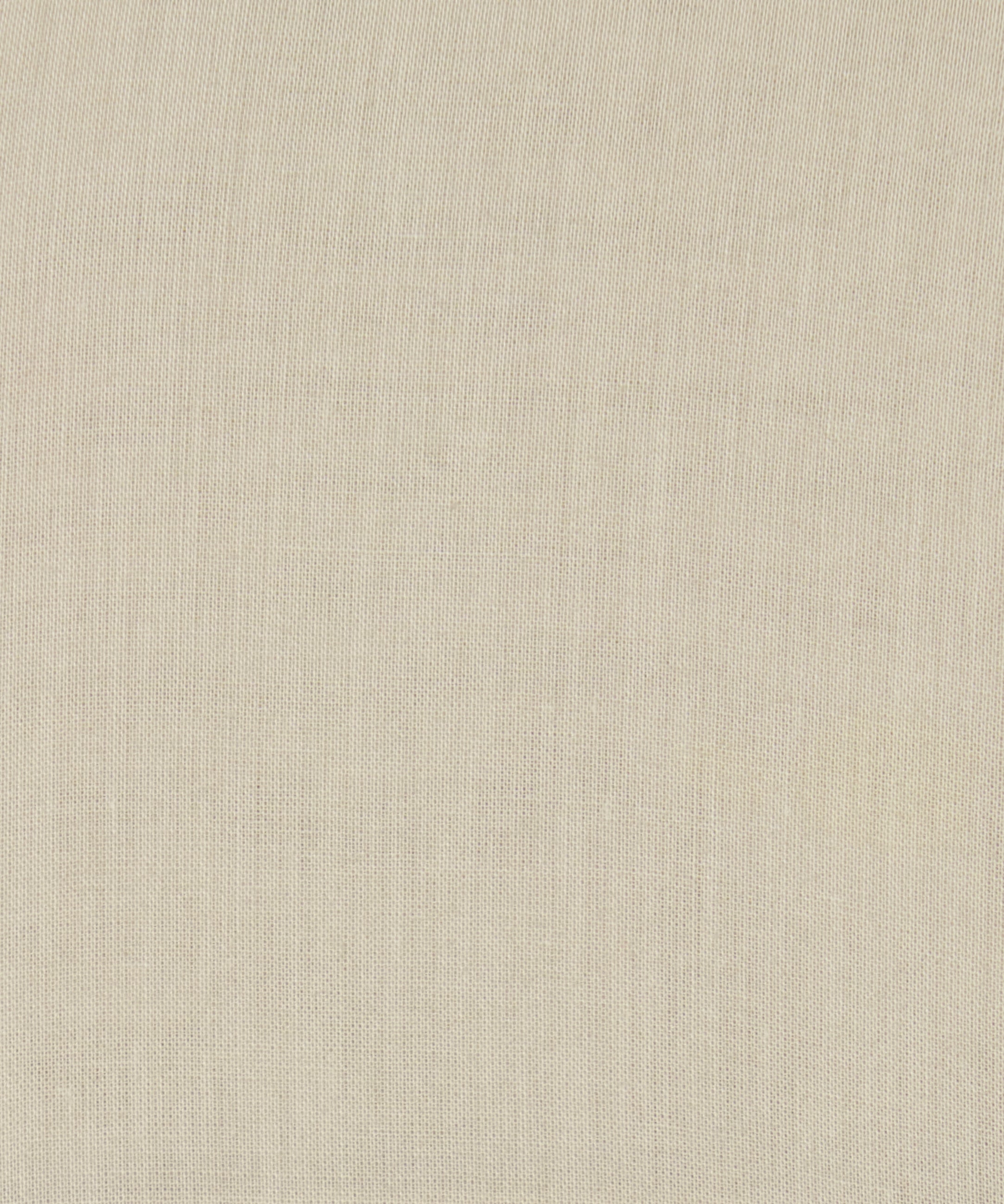 【予約】ミューズのブラウス Champagne